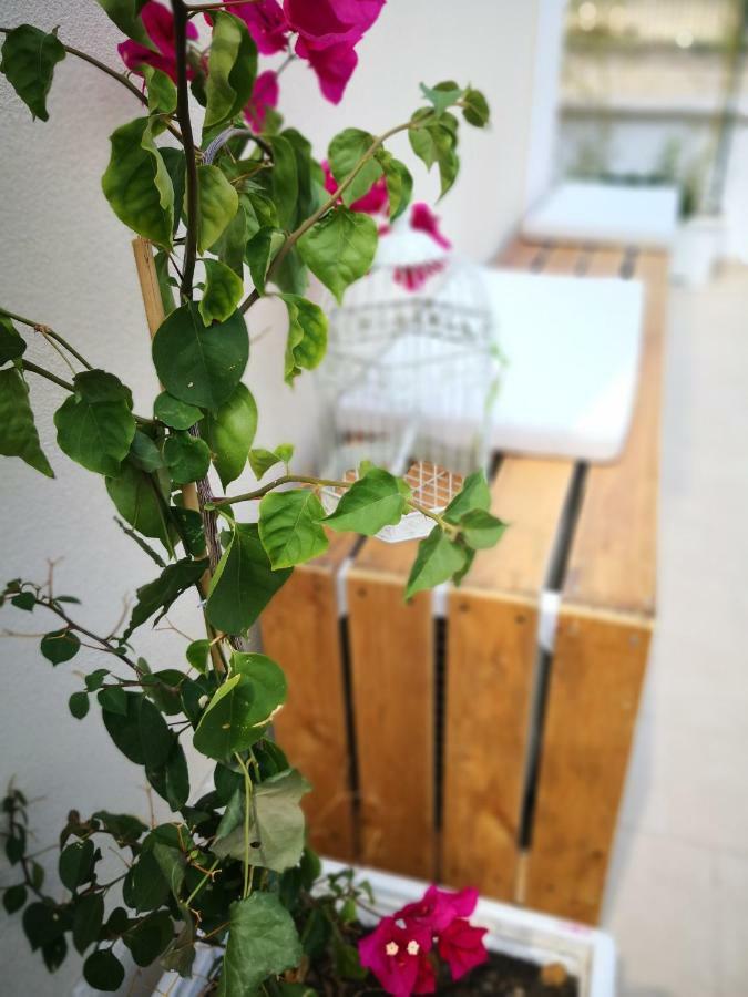 La Roche Bed & Breakfast เลชเช ภายนอก รูปภาพ